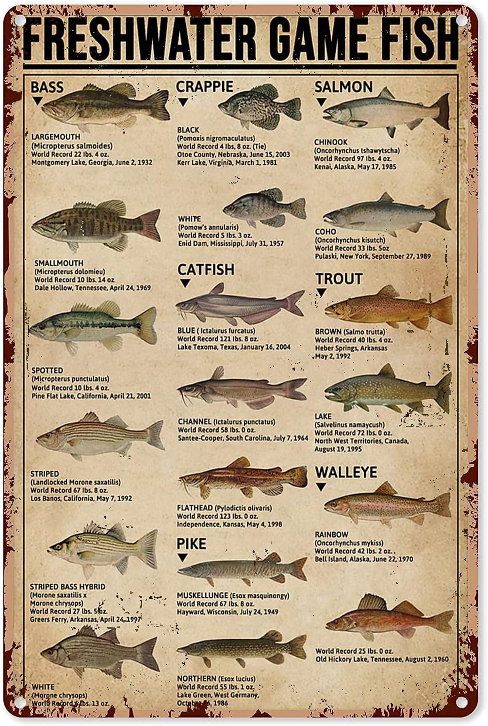 Y1,Fishing Art Posters Metal S - Retro Gaming Us 评论和价格